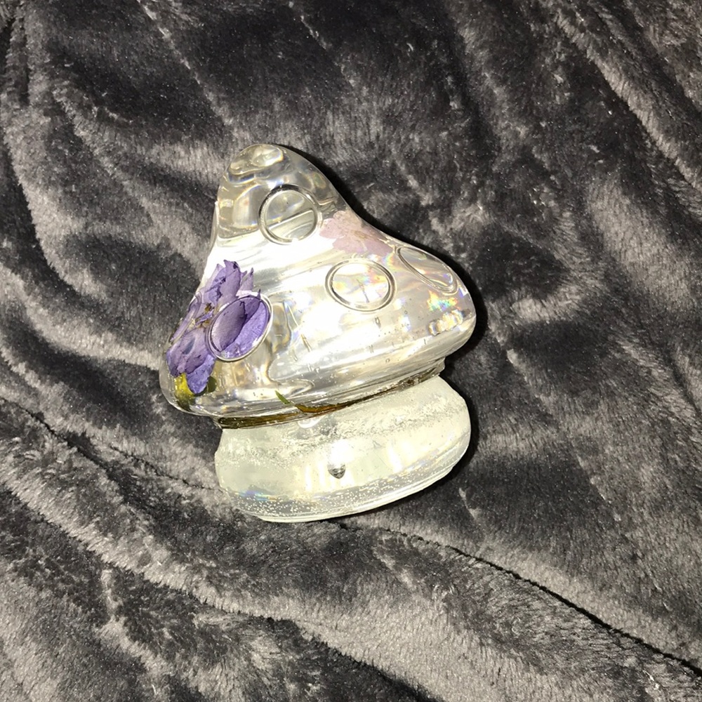 Mushroom 🍄 DIY Custom Epoxy creation glows New